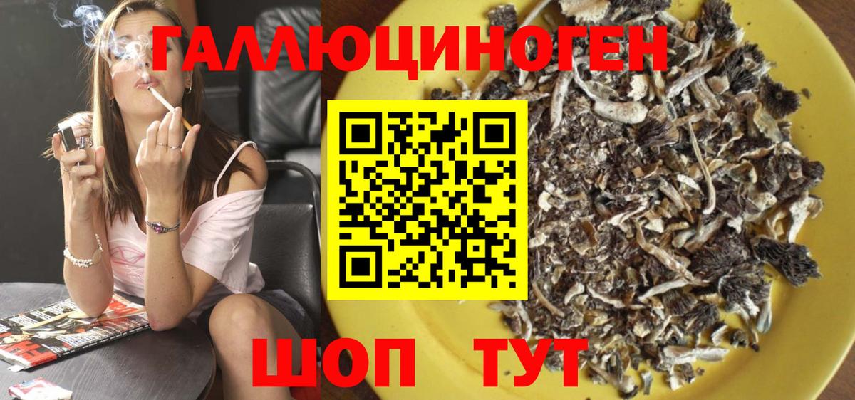 МЕФ Кулебаки