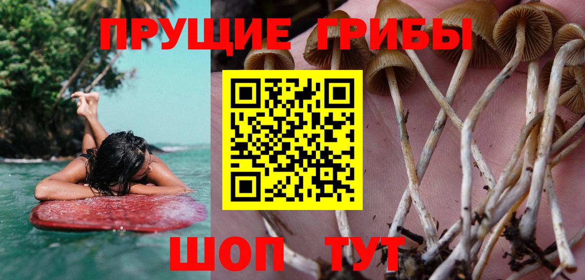 Галлюциногенные грибы мухоморы  Вход с VPN  Кулебаки  Галлюциногенные грибы Magic Shrooms 